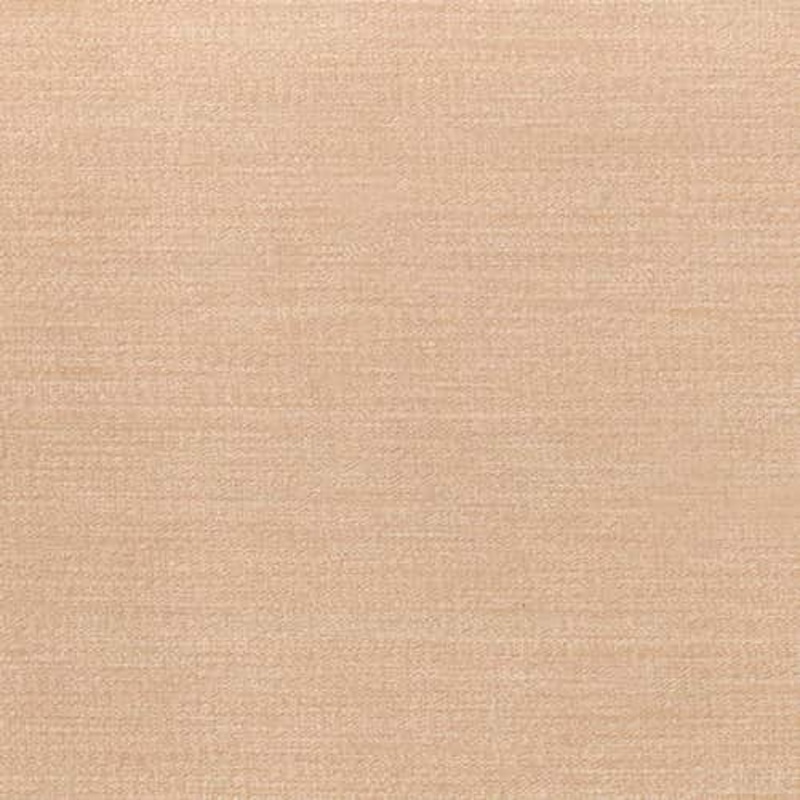 Venice Raffia Regal Fabric