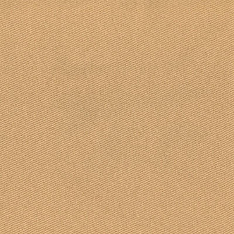Bronco Beach Regal Fabric