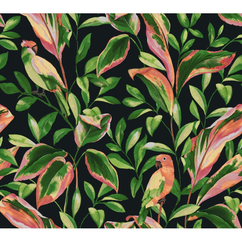 TC2651 Black Tropical Love Birds Wallpaper