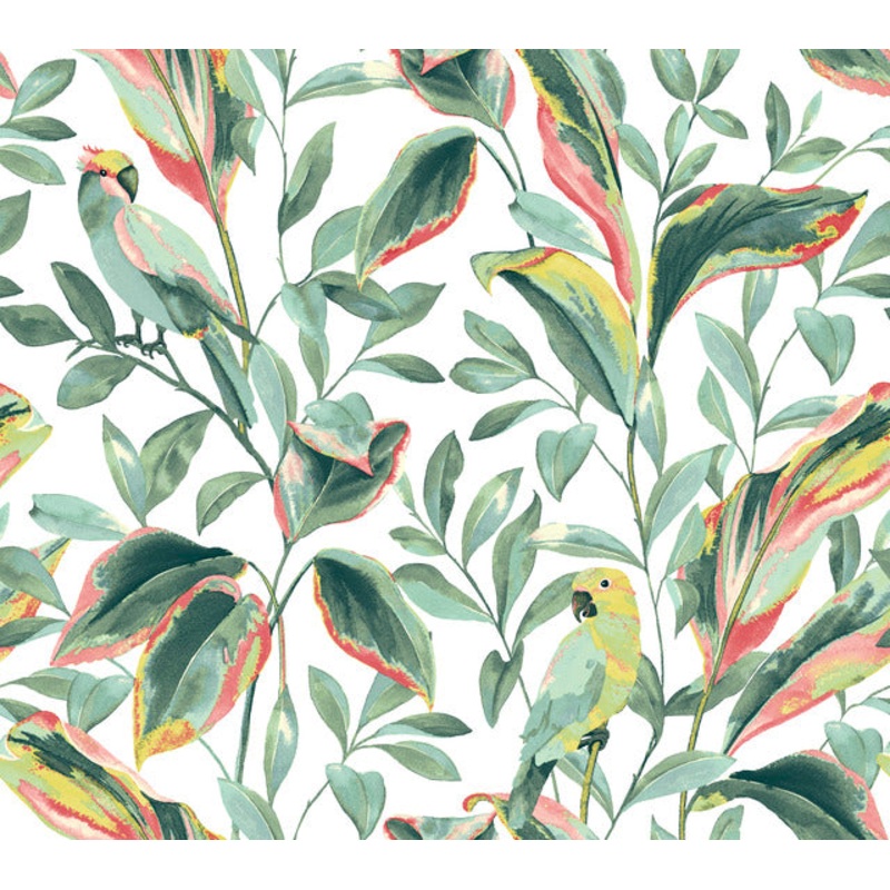 TC2653 White Coral Tropical Love Birds Wallpaper