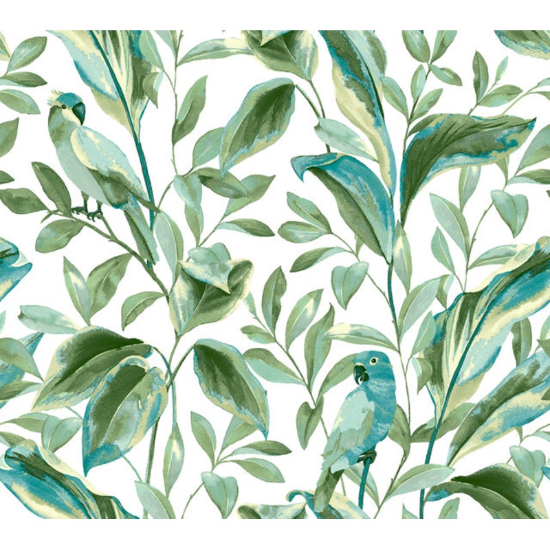 TC2654 White Aqua Tropical Love Birds Wallpaper