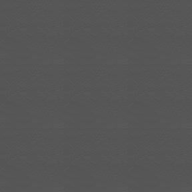 Talladega 908 Charcoal Fabric
