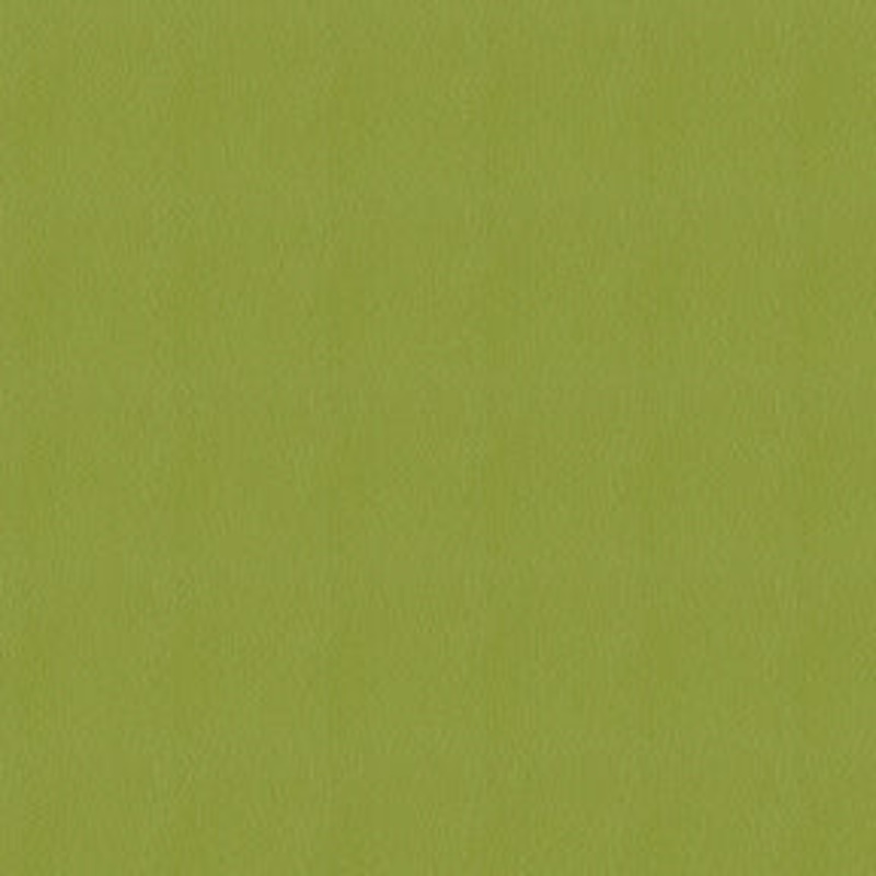 Avalon 528608 Sprout Fabric