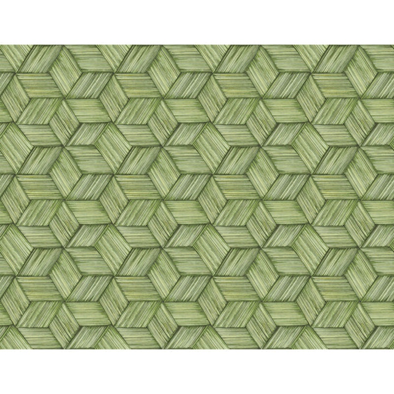 Kenneth James Palm Springs Intertwined Wallpaper (2754_PS41414)