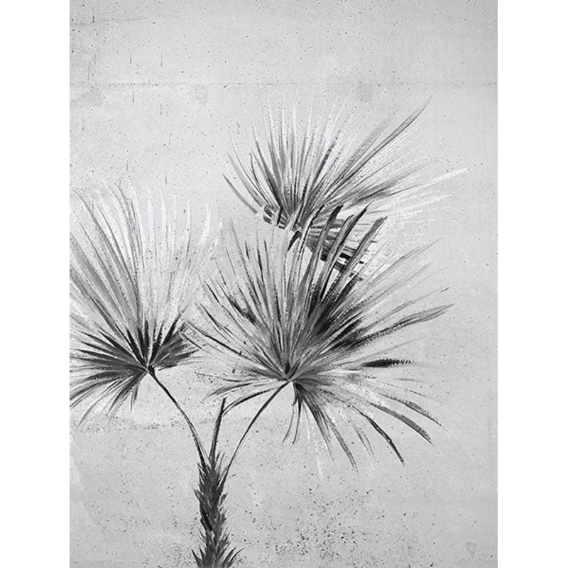 391567 Durango Palm Greyscale Wall Mural