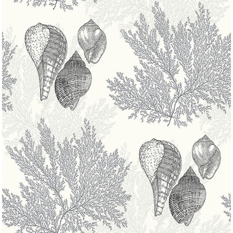 2927-81200 Nauset Black Seashell Shores Wallpaper