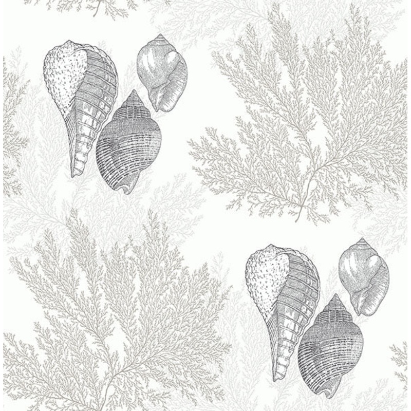 2927-81205 Nauset Cream Seashell Shores Wallpaper