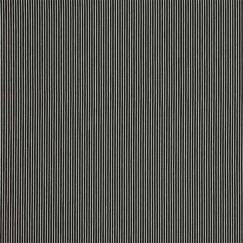 Upstate Jet Richloom Fabric